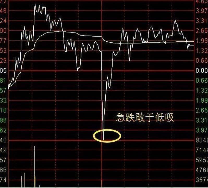 致每一个死撑硬扛的散户反复用同一只股票做T赚的怀疑人生