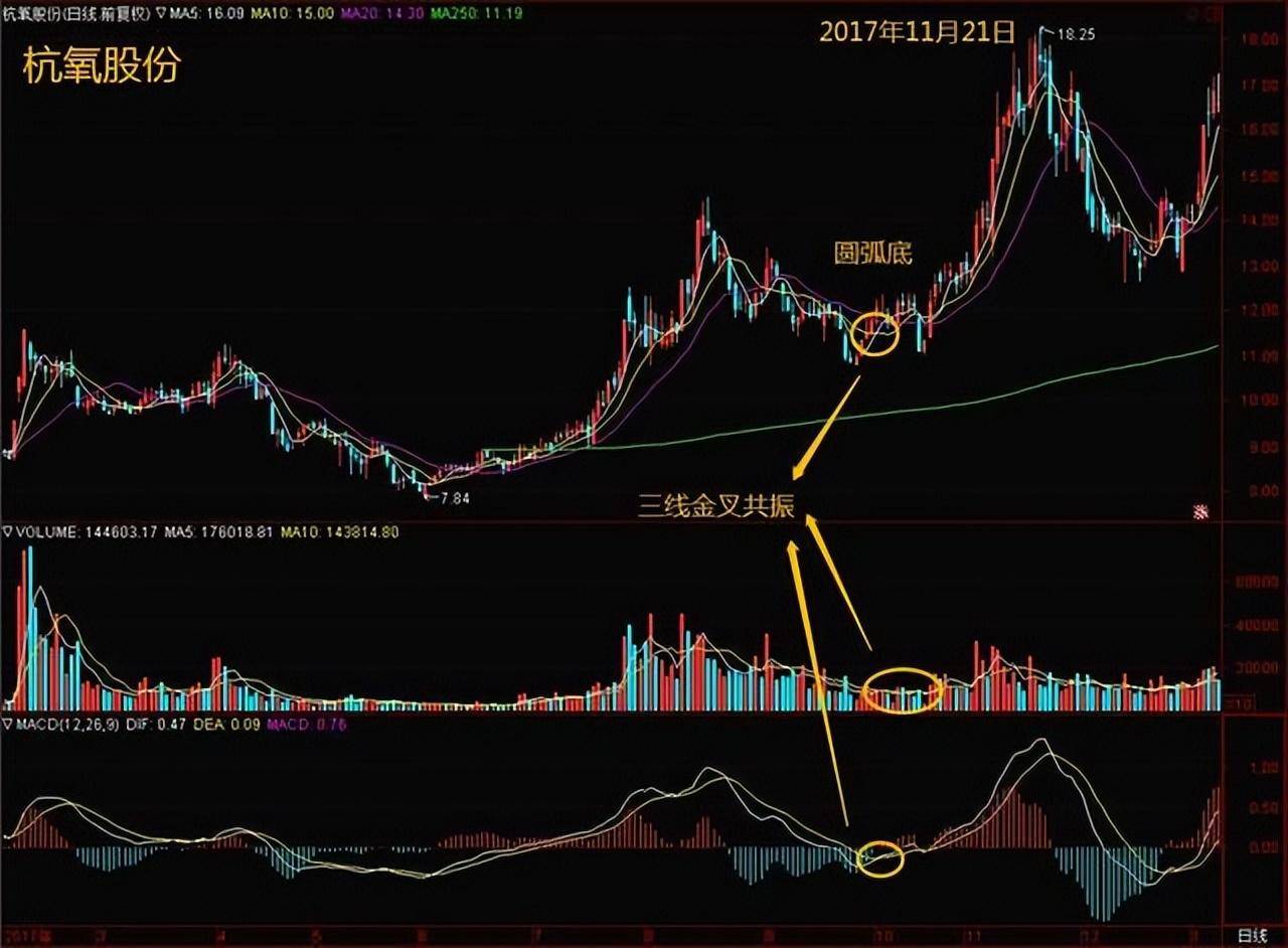 牢记这个忠告一旦手中持有股票出现三线金叉共振果断满仓！