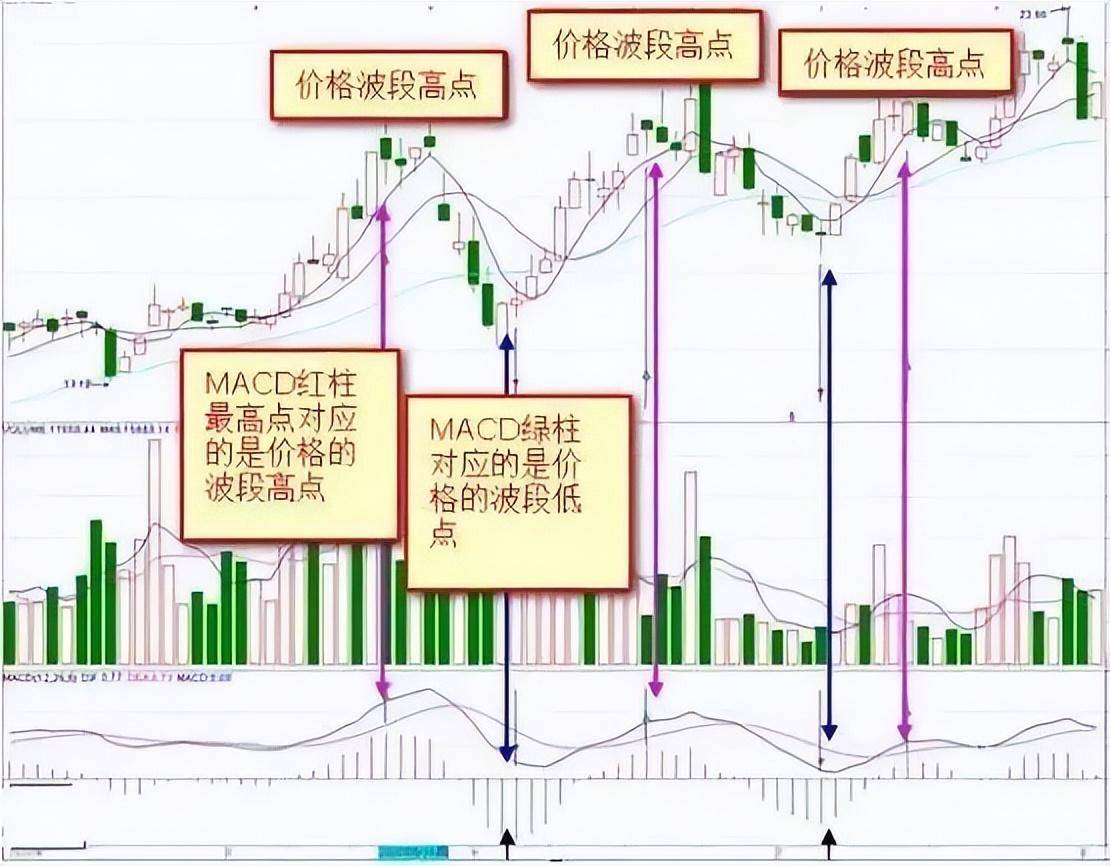 散户100万交易亏到只剩10万块！直呼真难！市场我不曾爱过你