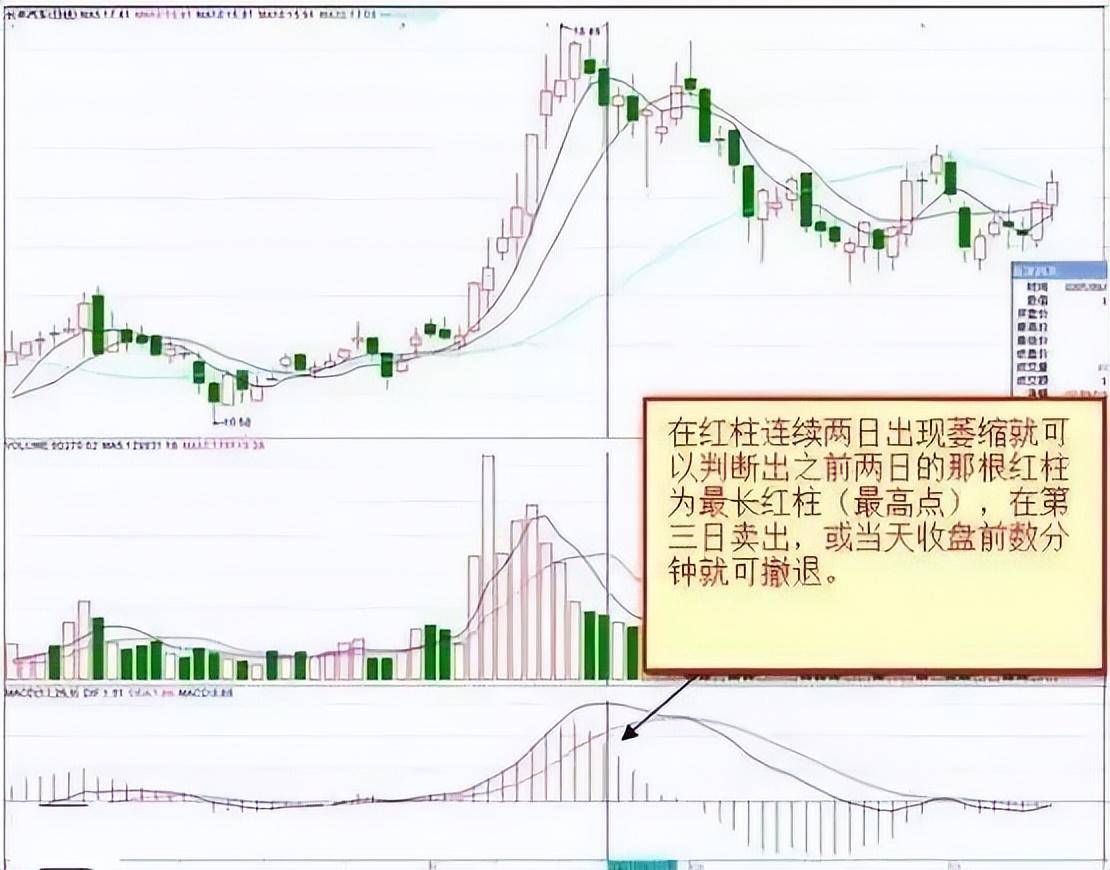 散户100万交易亏到只剩10万块！直呼真难！市场我不曾爱过你