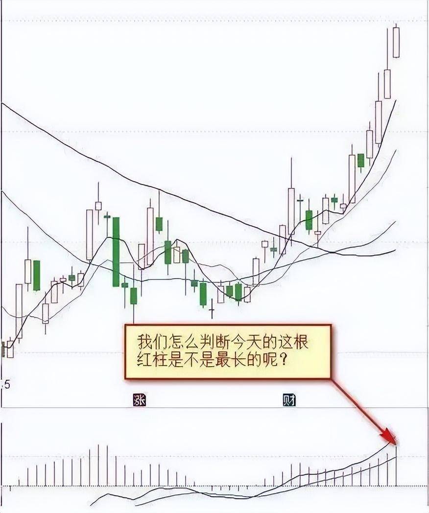 散户100万交易亏到只剩10万块！直呼真难！市场我不曾爱过你