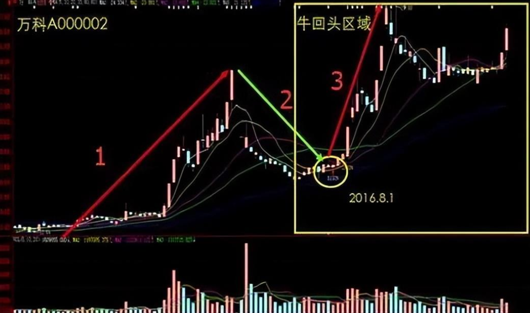 真正靠炒股实现财富自由的一种人做到这9点财富离你越来越近