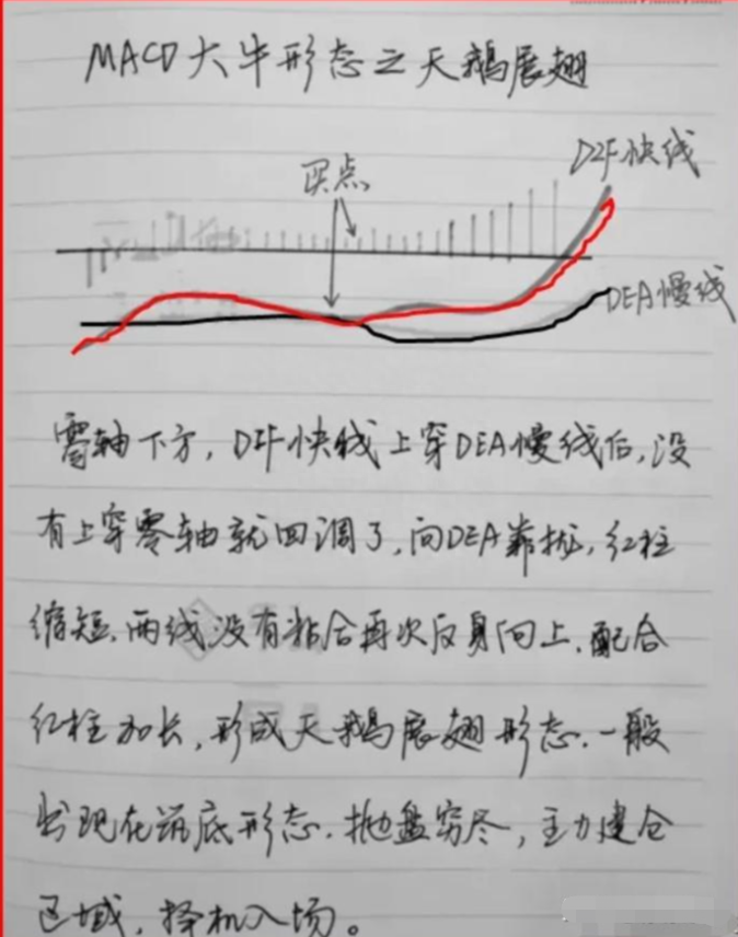 股市里真正顿悟的人是什么样的？此文很短很深值得散户反复细品
