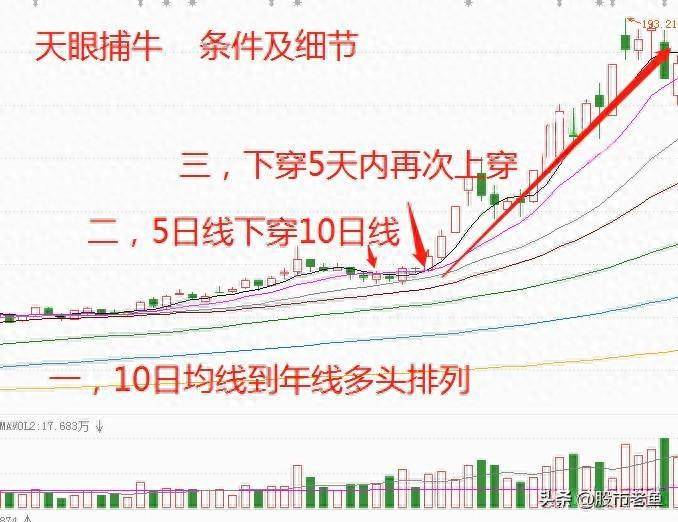 上海炒股大赛冠军的箴言买股票入天眼捕牛个股简单却赚钱