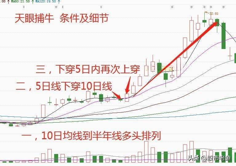 上海炒股大赛冠军的箴言买股票入天眼捕牛个股简单却赚钱