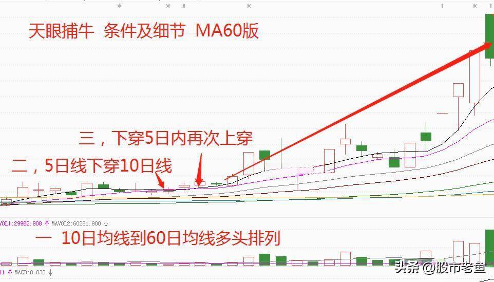 上海炒股大赛冠军的箴言买股票入天眼捕牛个股简单却赚钱