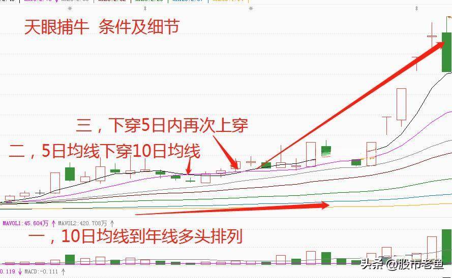 上海炒股大赛冠军的箴言买股票入天眼捕牛个股简单却赚钱