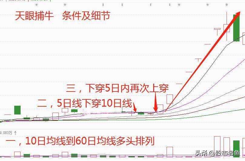上海炒股大赛冠军的箴言买股票入天眼捕牛个股简单却赚钱