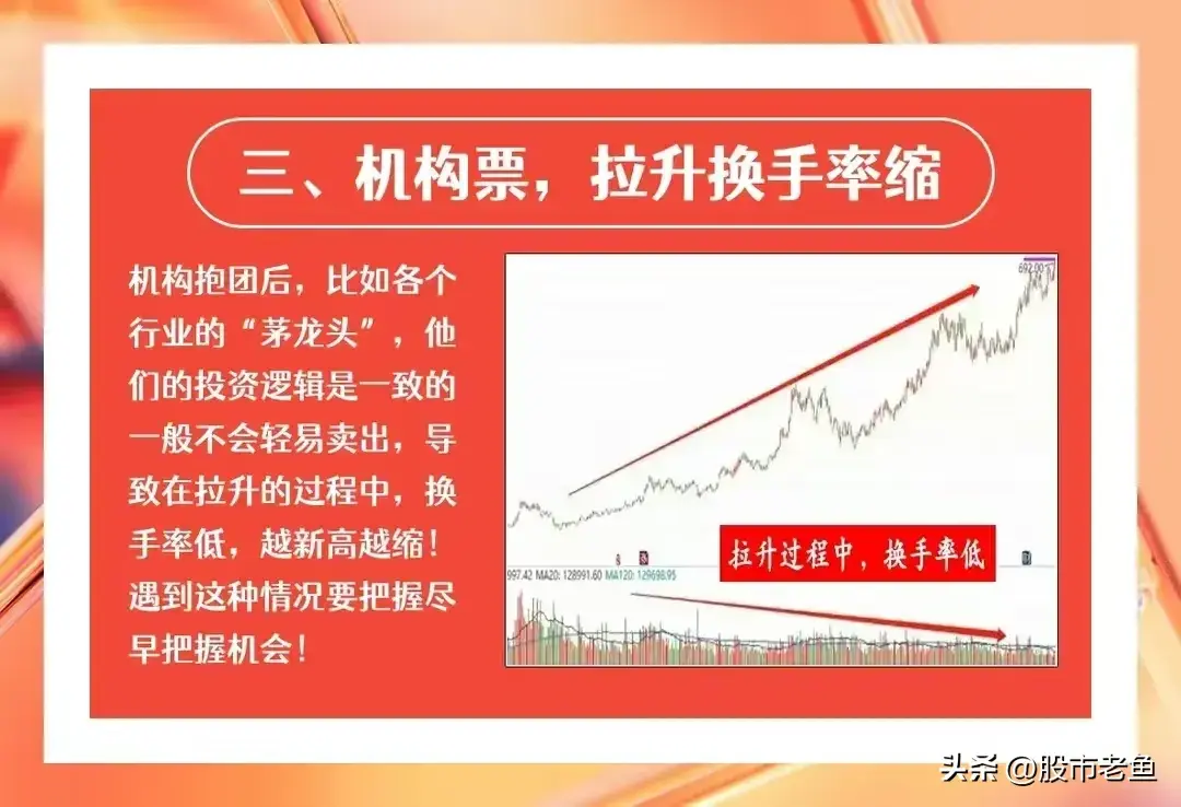 中国股市永远赚钱的一种人做股票专注换手率简单却最赚钱