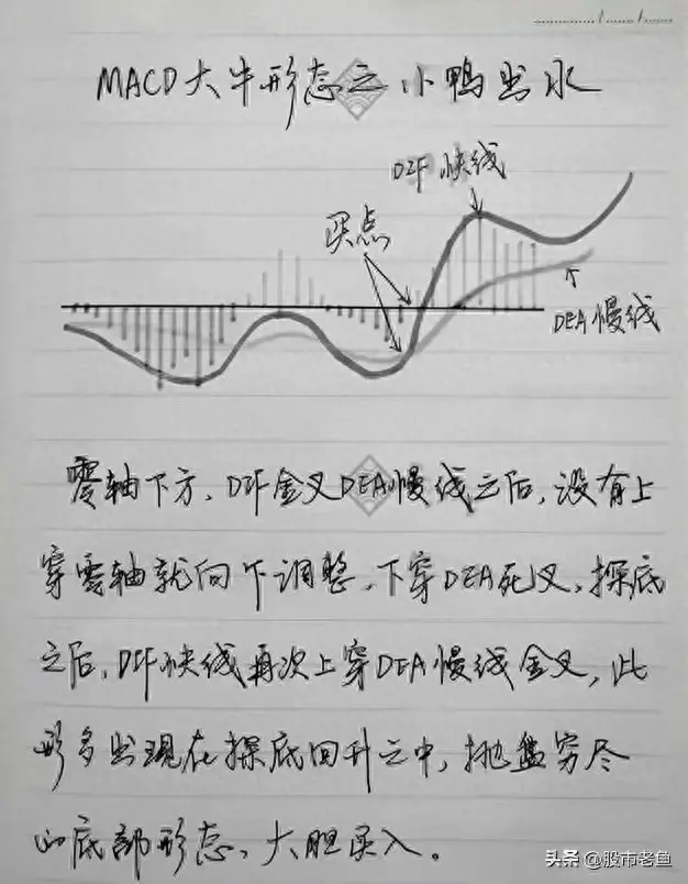 怎样从MACD看出接下来是涨还是跌？每日读十遍颠覆你的赚钱思维