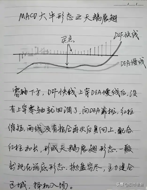 怎样从MACD看出接下来是涨还是跌？每日读十遍颠覆你的赚钱思维