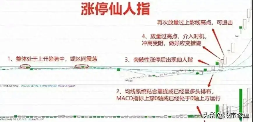 中国股市如果股票出现涨停仙人指往往在接下来将大幅上涨