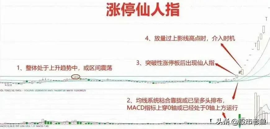 中国股市如果股票出现涨停仙人指往往在接下来将大幅上涨