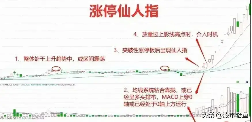 中国股市如果股票出现涨停仙人指往往在接下来将大幅上涨