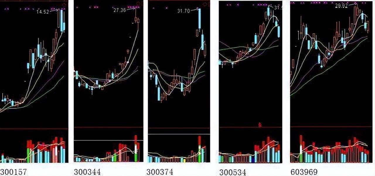 中国式炒股到底有多可怕？终于有人说透了此文很短很深