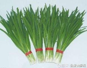 股市分析A股里面谁是韭菜谁是夹头？