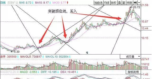 炒股秘籍选择比努力重要掌握选股技巧很有必要