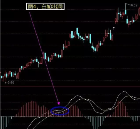 炒股秘籍掌握这几种底部形态成为抄底高手