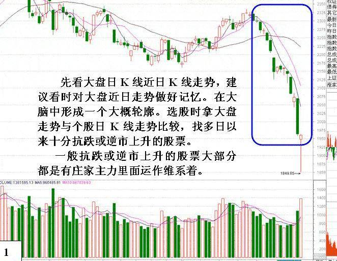 炒股秘籍大盘大跌时如何选到强势股