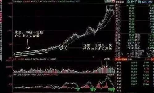 炒股秘籍均线粘合战法把握起涨点的好方法附选股公式