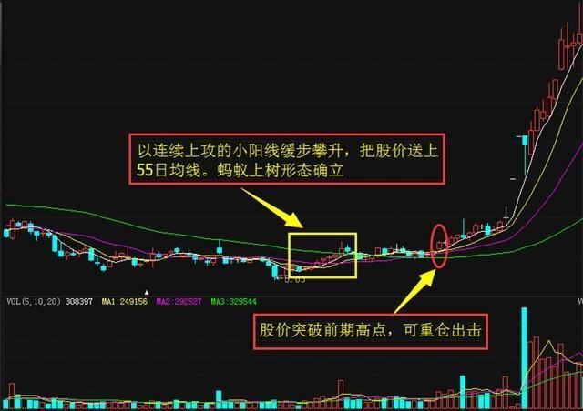 炒股秘籍实战性很强的蚂蚁上树选股方法财源滚滚来