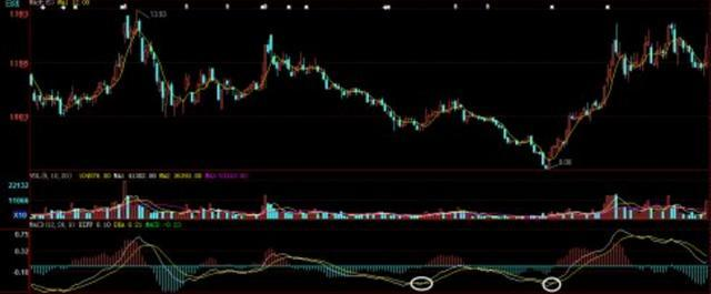 炒股秘籍实战性很强的蚂蚁上树选股方法财源滚滚来
