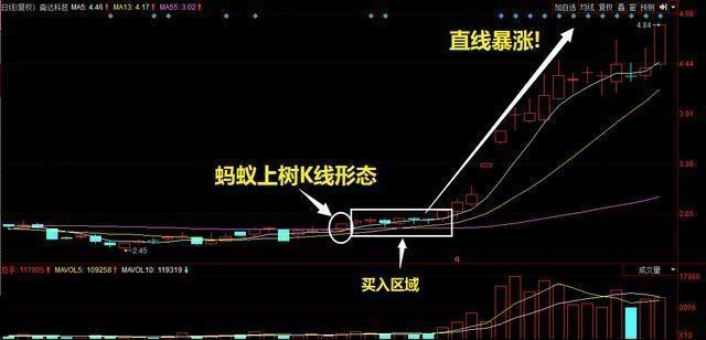 炒股秘籍实战性很强的蚂蚁上树选股方法财源滚滚来
