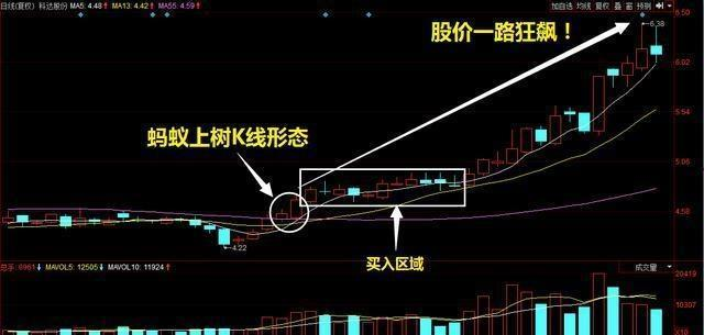 炒股秘籍实战性很强的蚂蚁上树选股方法财源滚滚来