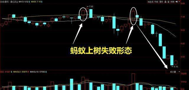 炒股秘籍实战性很强的蚂蚁上树选股方法财源滚滚来