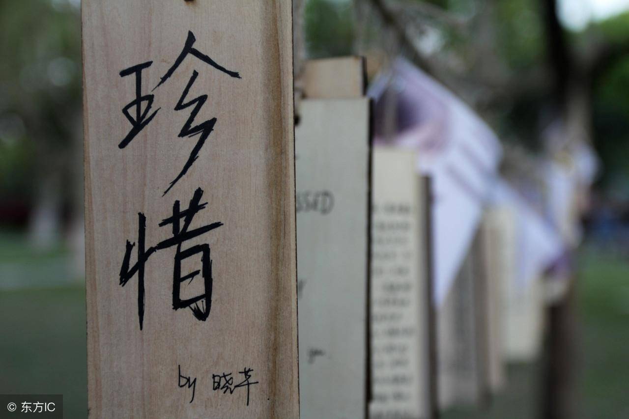 高手故事一位资深交易者化茧成蝶的感悟