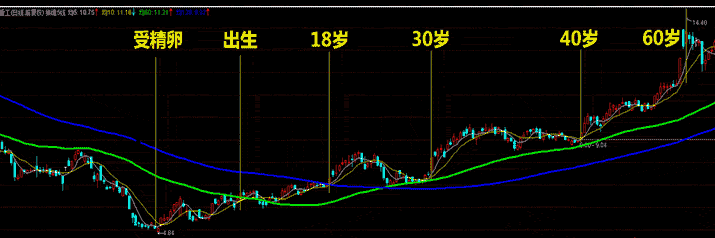 了解股价结构及运行轨迹揭开黑马股的神秘面纱