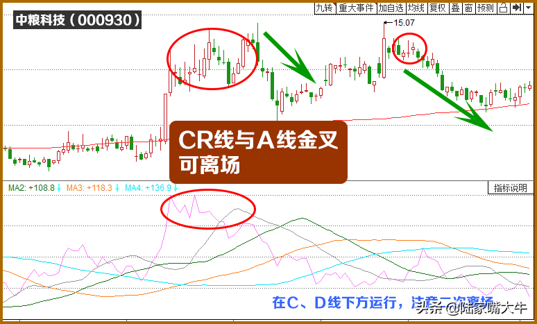 黄金CR能量指标掌握强势股
