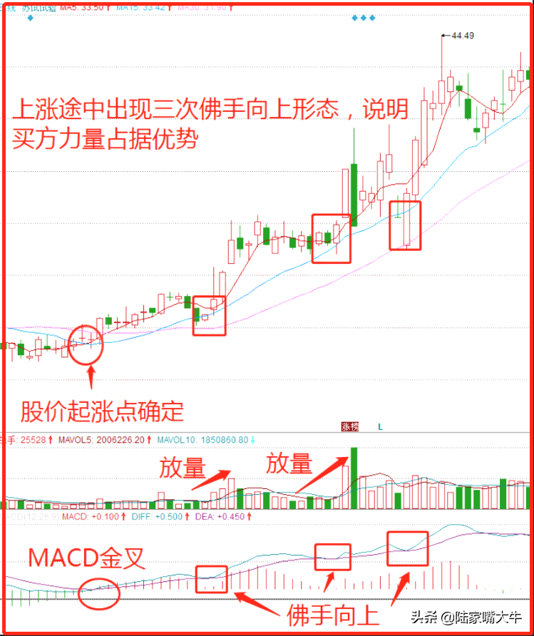 学会MACD指标之佛手向上形态与主力在上涨行情中共舞！