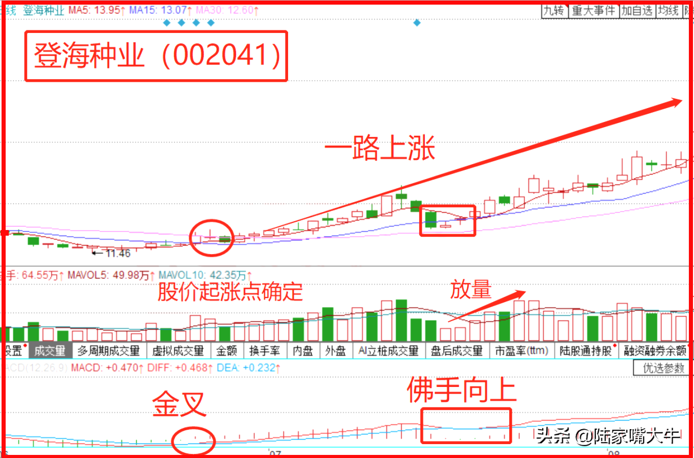 学会MACD指标之佛手向上形态与主力在上涨行情中共舞！