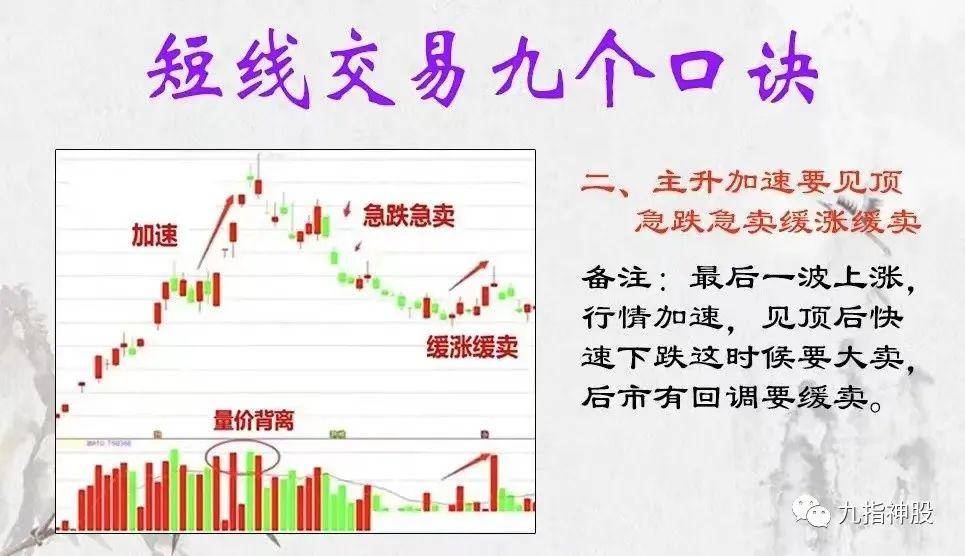 炒股一旦开了窍人生就像开了挂！