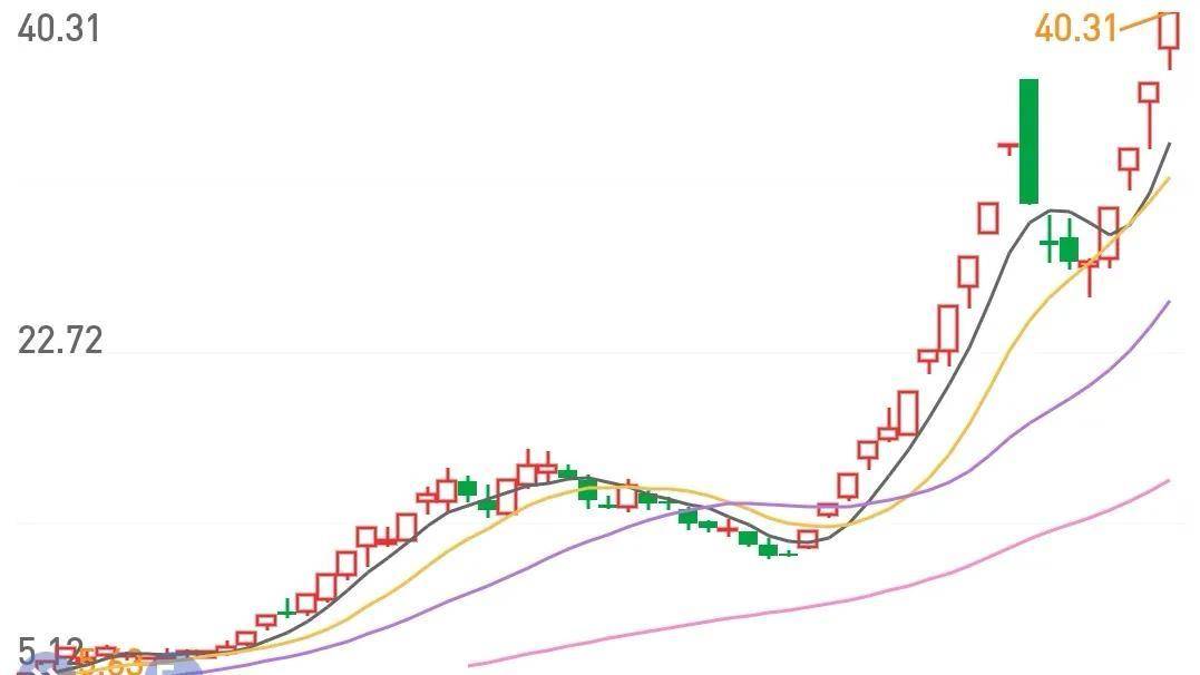 龙头股最全总结总龙卡位龙板块龙先手龙补涨龙
