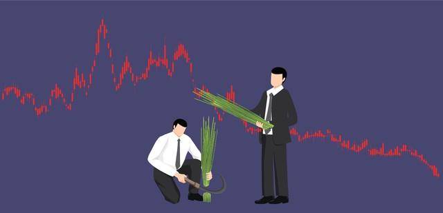 龙头股是怎么走出来的