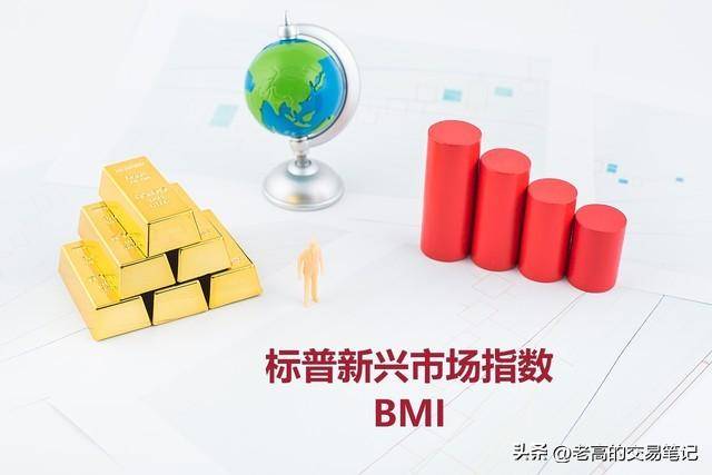 成为股票投资高手的基本功是什么？揭秘股市成功之道