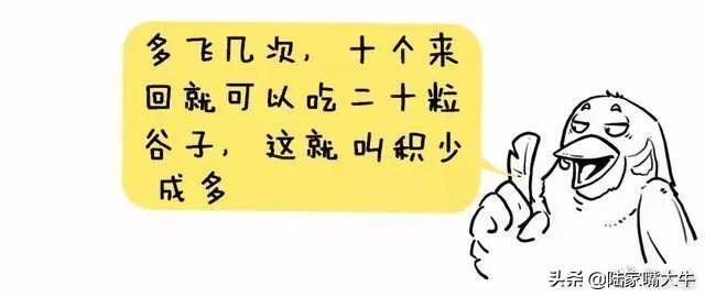 炒股的麻雀战术持有熟悉的一只股专心反复做T收益很好