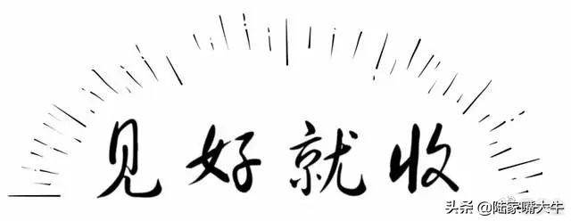 炒股的麻雀战术持有熟悉的一只股专心反复做T收益很好