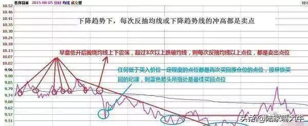 炒股的麻雀战术持有熟悉的一只股专心反复做T收益很好