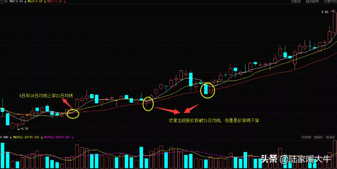 飞龙线战法5日均线与21日均线组合一种非常好的抄底技巧