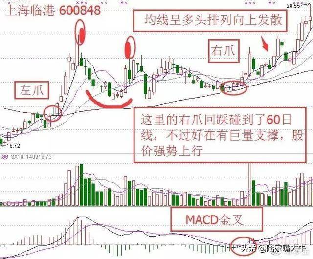 60日均线战法金蛤蟆K线形态兼具短中线机会揭露主力踪迹