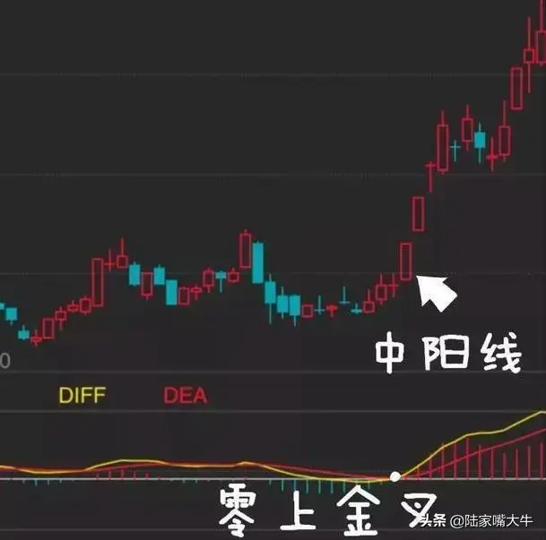 术与道MACD指标应用方法抄底术逃顶术抓主升