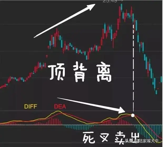 术与道MACD指标应用方法抄底术逃顶术抓主升