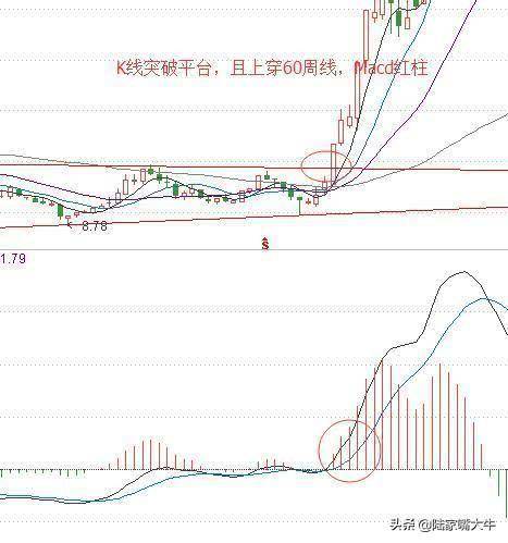 为什么周线突破后买入的股票可以快速持续的上涨呢