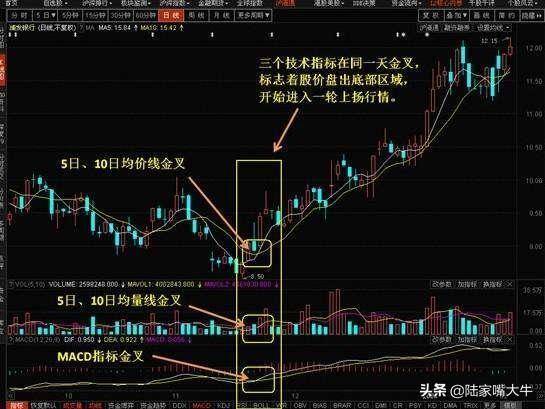 MACD指标的运用零轴即是分水岭三金叉见底买入会大涨