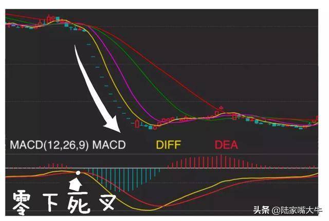 指标之王MACD抄底逃顶抓主升浪行情