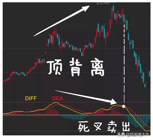 指标之王MACD抄底逃顶抓主升浪行情