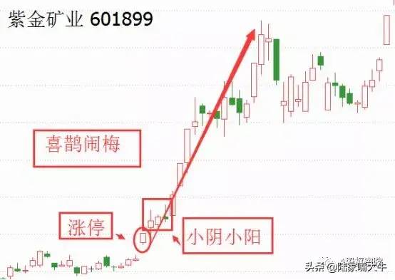 喜鹊闹梅形态非常明显的看涨信号低风险追涨